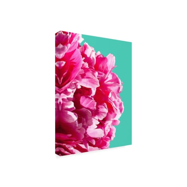 Lexie Green 'Pink Peony On Teal' Canvas Art,24x32